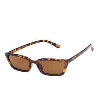 small-cat-eye-leoparde-gynaikeia-gialia-iliou