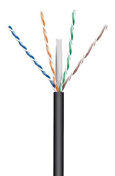 Cat 6