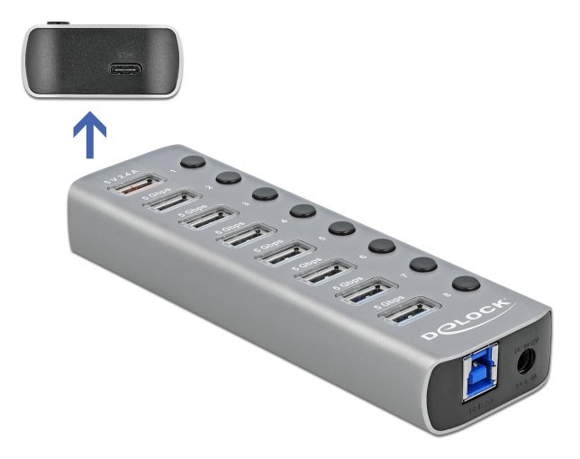 DELOCK USB hub 63264 με διακόπτες, 9x θυρών, 5Gbps, 12V/2.25A PD, γκρι
